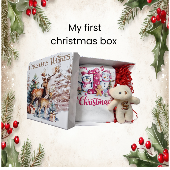 Baby's Christmas Pajama gift box